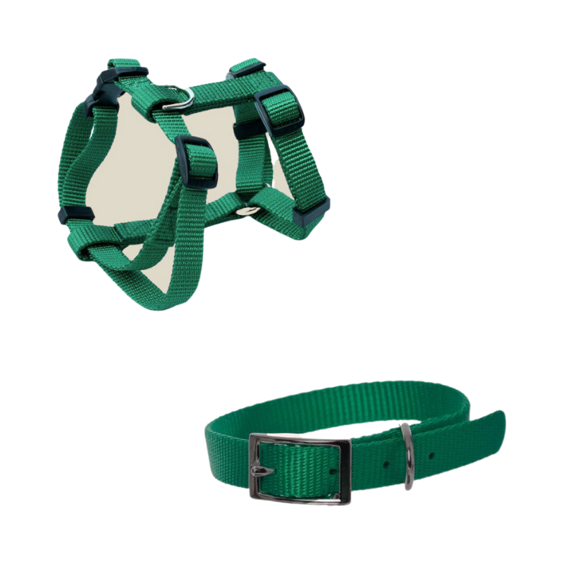 Harness and Collars