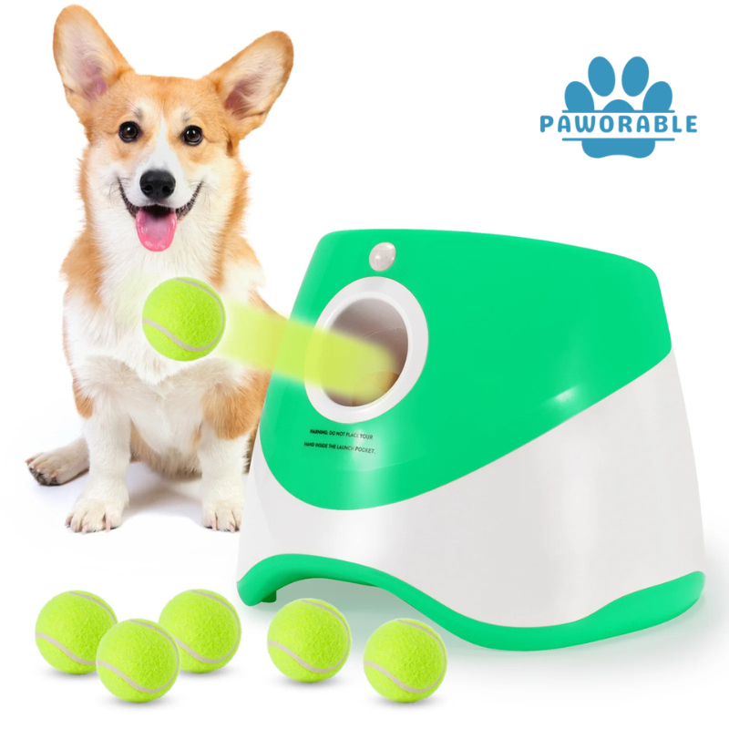 Automatic Ball Launcher
