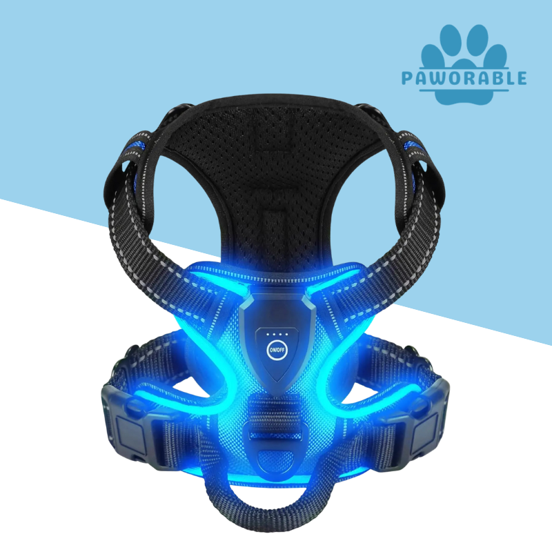 Glow Harness