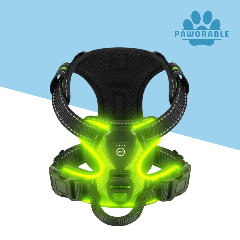 Glow Harness