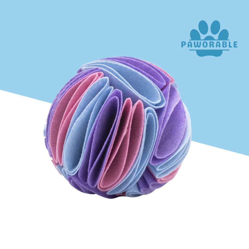 Sniffing Ball Pet Puzzle
