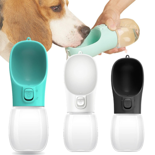 Portable Water Bottle